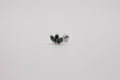 Lotus Moss Stud