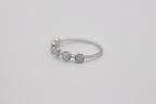Orion Ring
